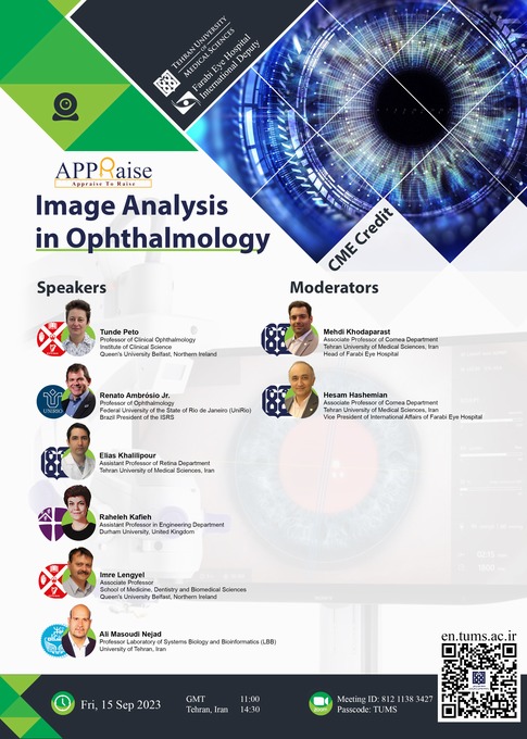 Appraise to Raise: Image Analysis in Ophthalmology